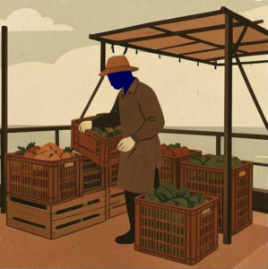 man on a dock holding a crate of fruit and surrounded by other crates of fruit